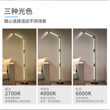 LED室内灯 - HCP204  阅读氛围落地灯